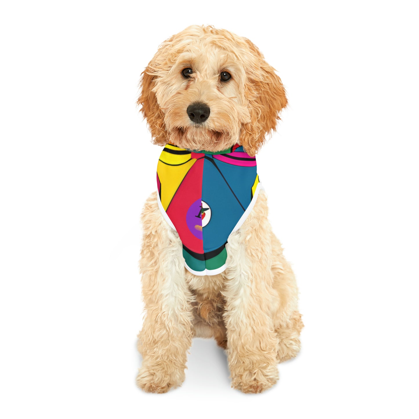 Pet Hoodie multi coloured design
