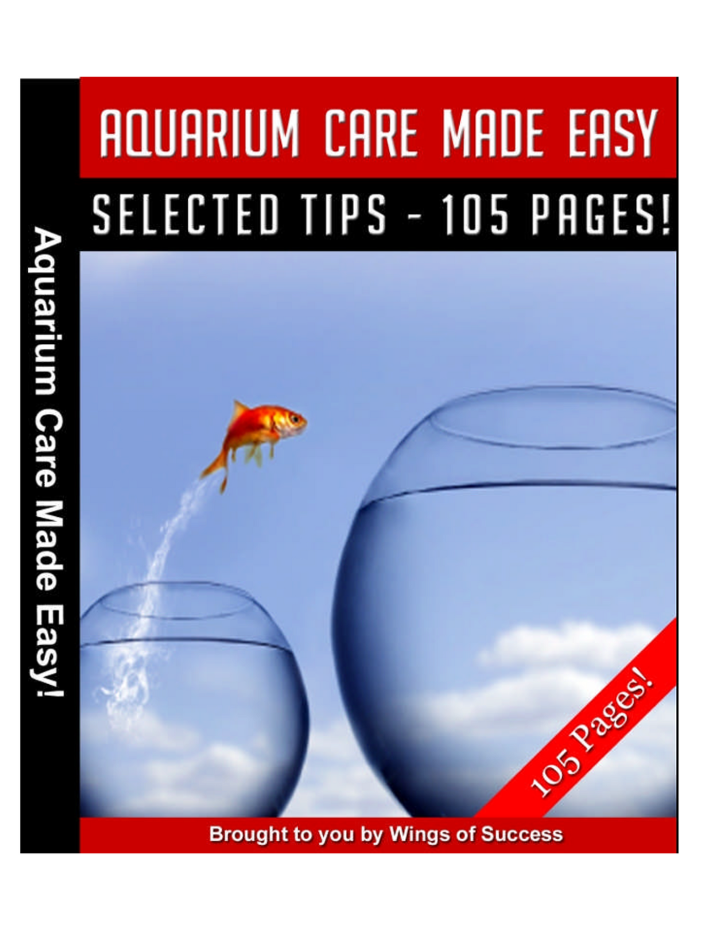 Aquarium Care Made Easy