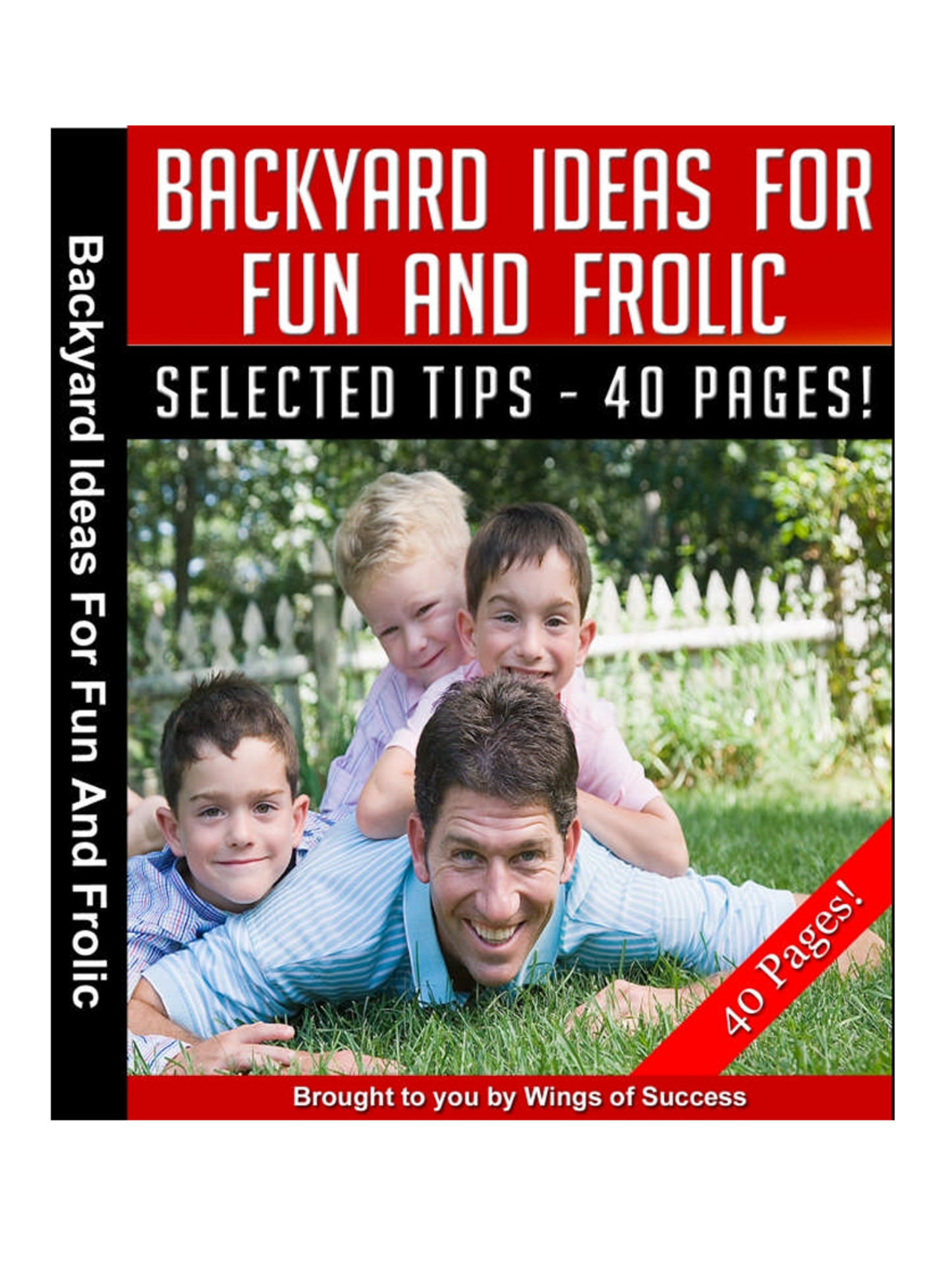 Backyard Ideas for Fun and Frolic