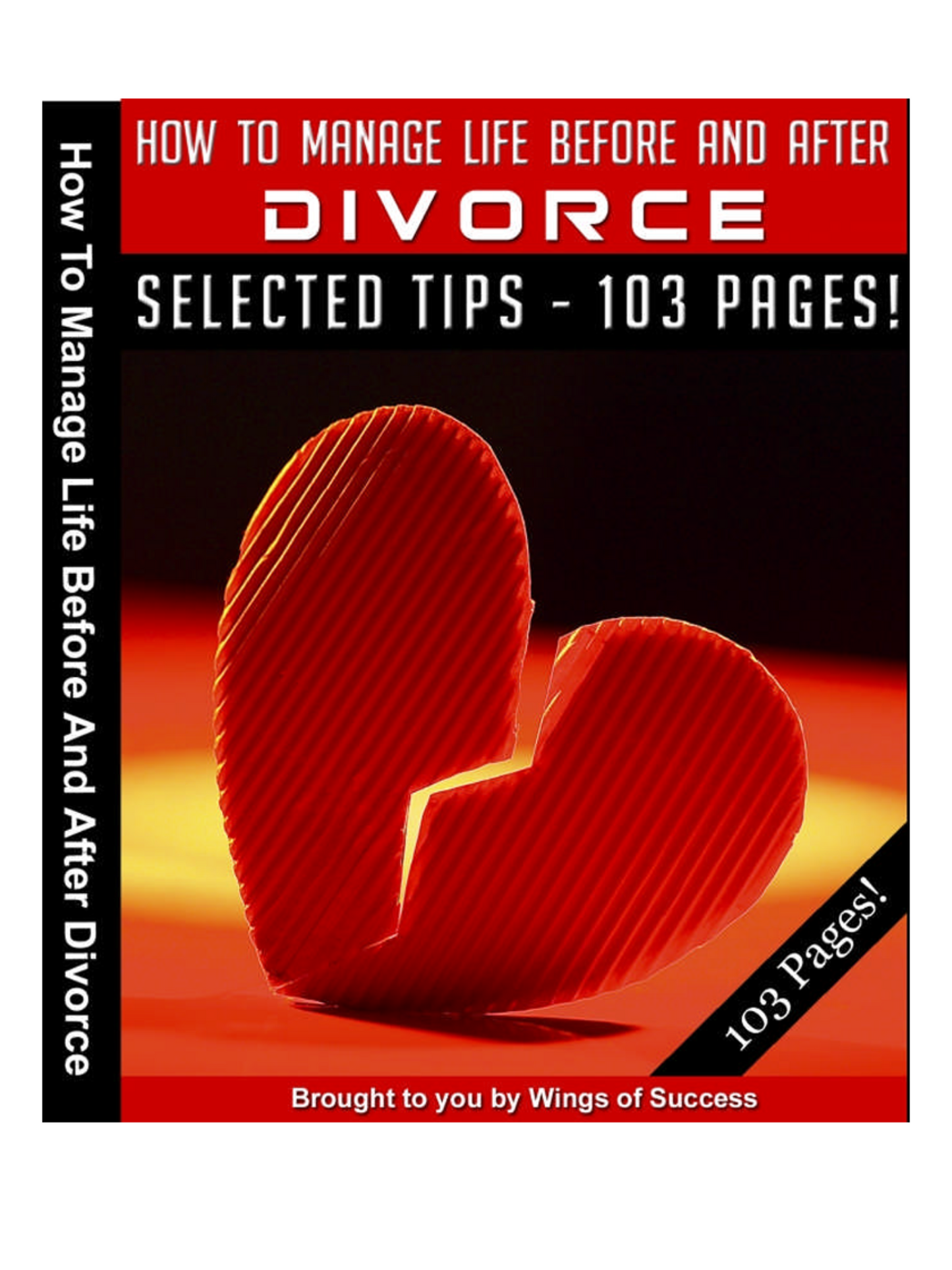 How to Manage Life Before and After Divorce