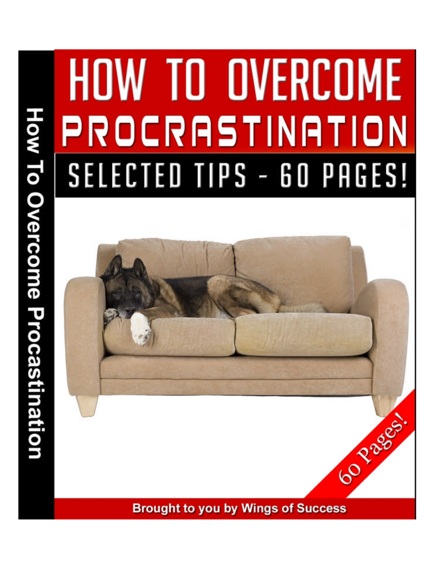 How to Overcome Procrastination