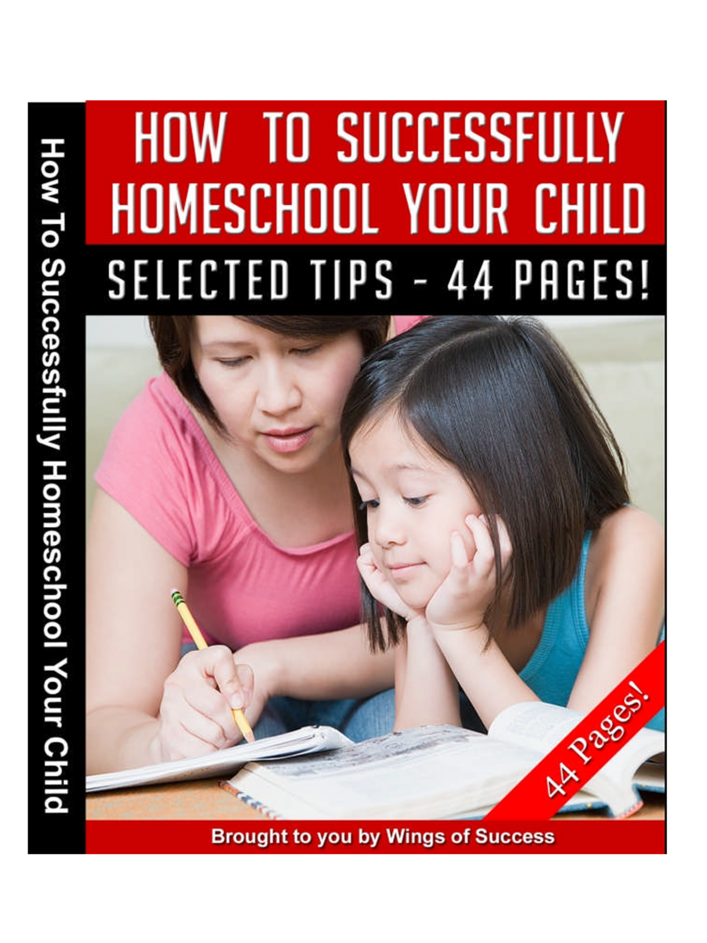 How to Successfully Homeschool Your Child