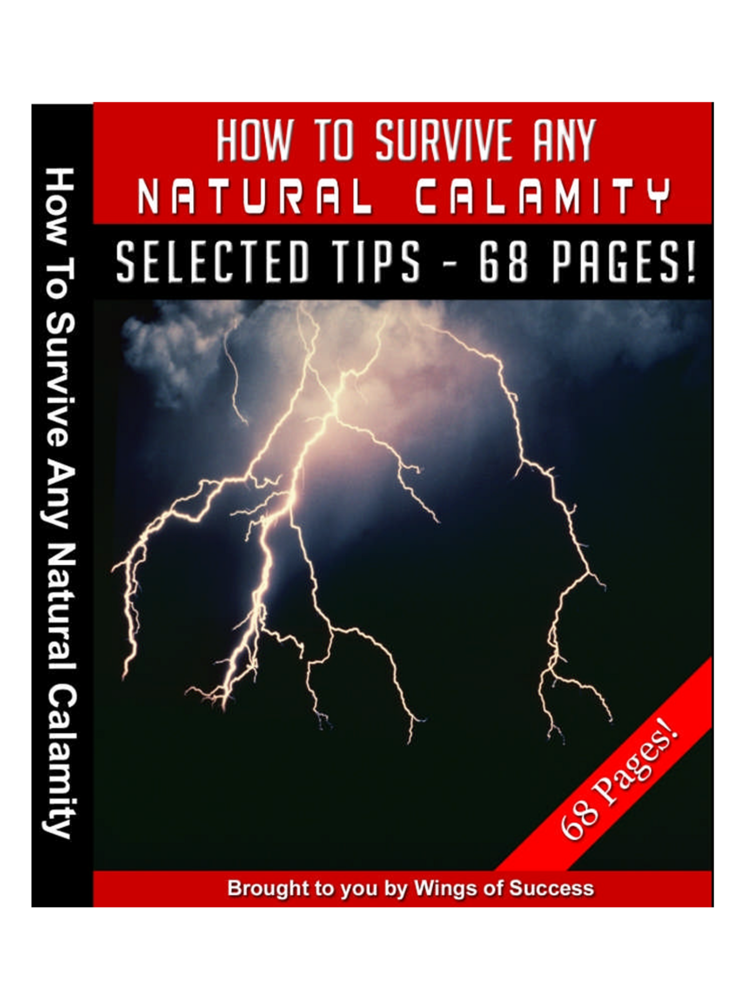 How to Survive Any Natural Calamity