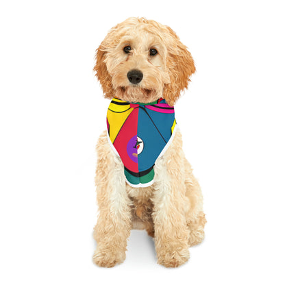 Pet Hoodie multi coloured design
