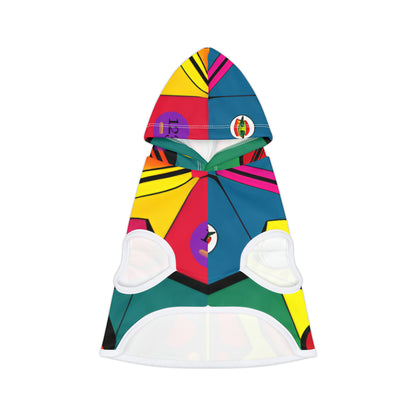 Pet Hoodie multi coloured design