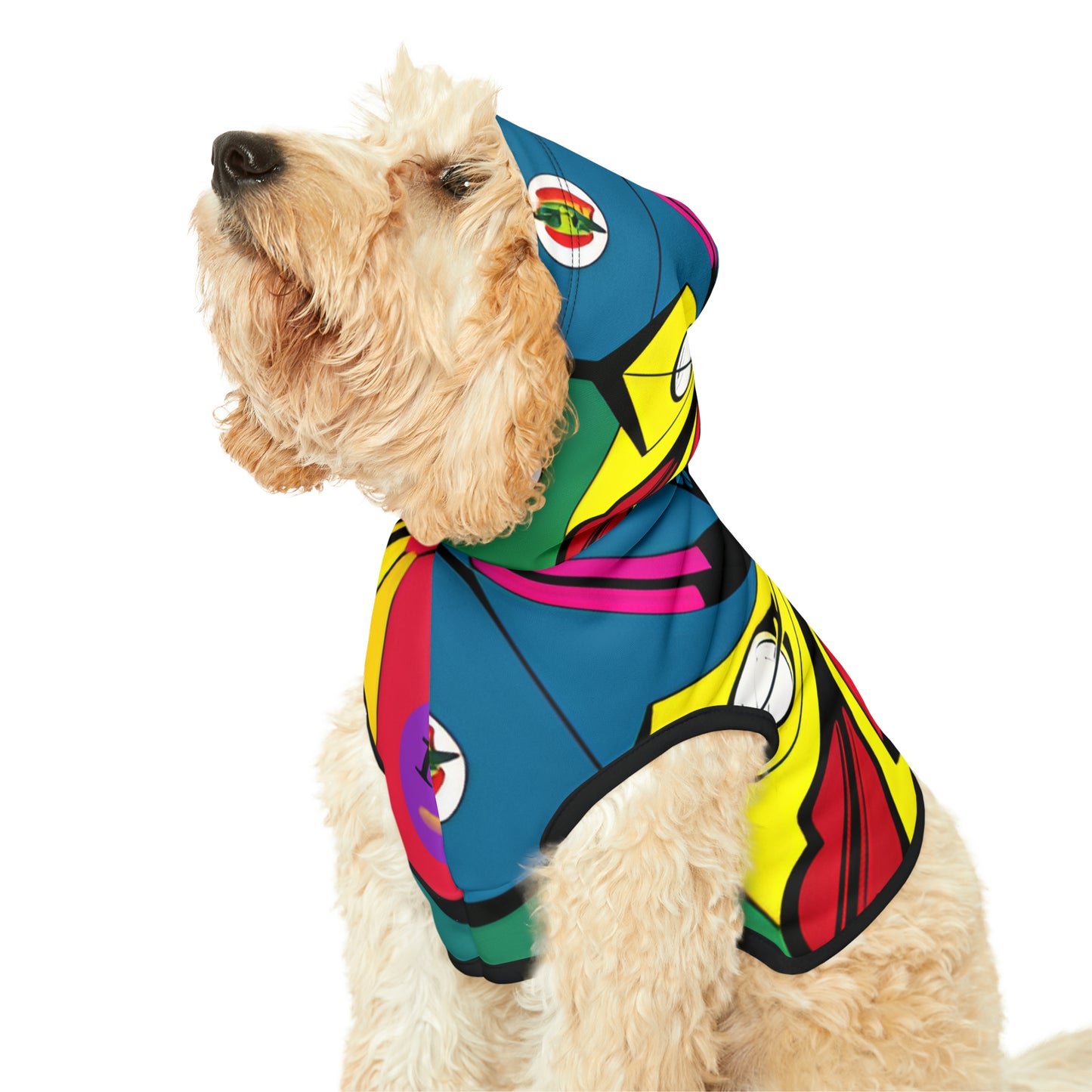 Pet Hoodie multi coloured design